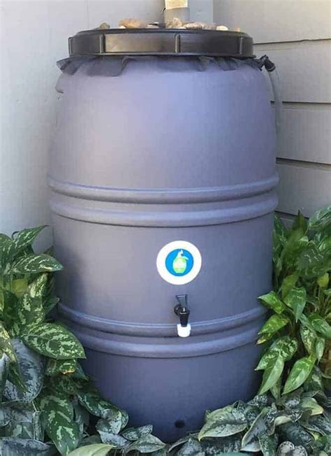 barrel screw pump|best pump for rain barrel.